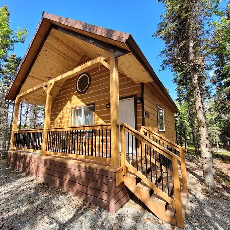 Denali Wild Stay - Redfox Cabin, Free Wifi, Private, Sleep 6 Healy Exteriör bild