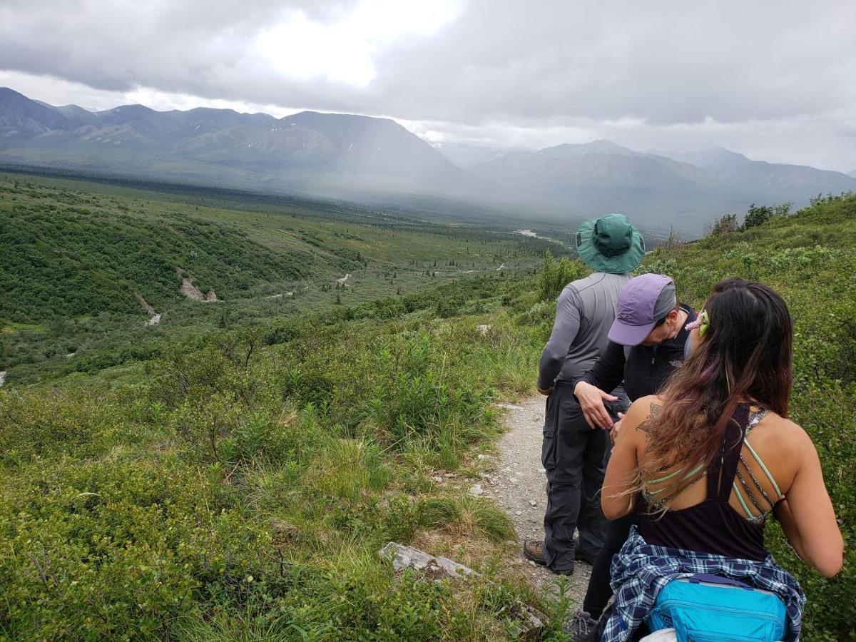 Denali Wild Stay - Redfox Cabin, Free Wifi, Private, Sleep 6 Healy Exteriör bild