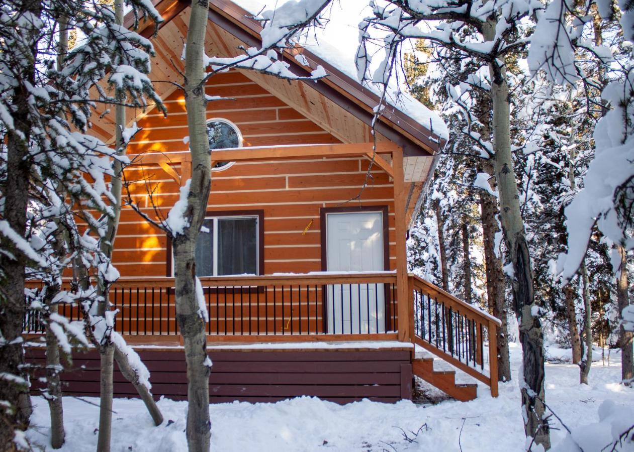 Denali Wild Stay - Redfox Cabin, Free Wifi, Private, Sleep 6 Healy Exteriör bild