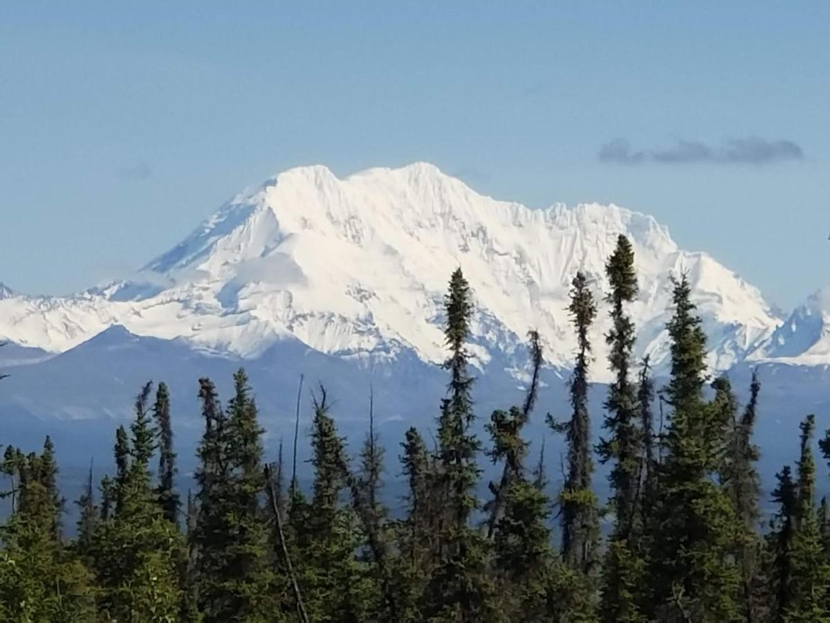 Denali Wild Stay - Redfox Cabin, Free Wifi, Private, Sleep 6 Healy Exteriör bild
