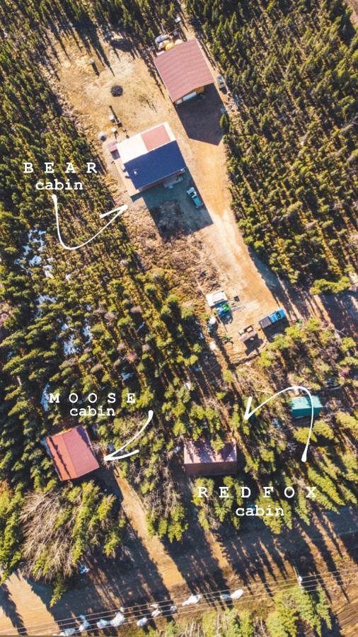 Denali Wild Stay - Redfox Cabin, Free Wifi, Private, Sleep 6 Healy Exteriör bild