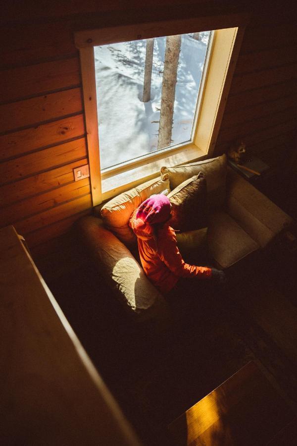 Denali Wild Stay - Redfox Cabin, Free Wifi, Private, Sleep 6 Healy Exteriör bild