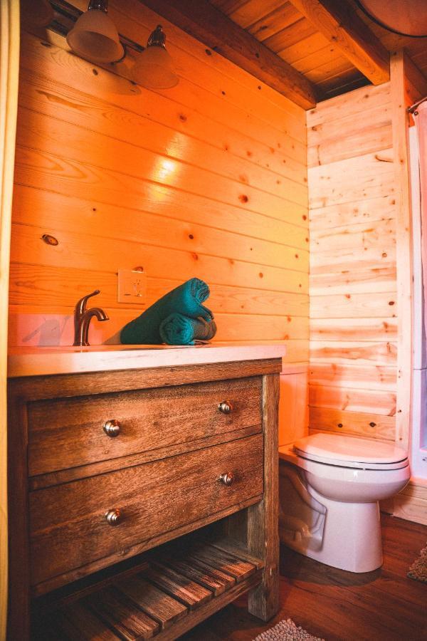Denali Wild Stay - Redfox Cabin, Free Wifi, Private, Sleep 6 Healy Exteriör bild