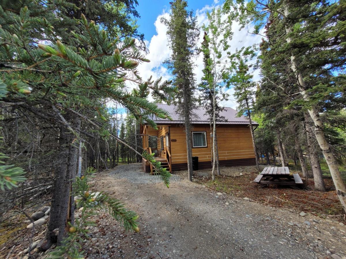 Denali Wild Stay - Redfox Cabin, Free Wifi, Private, Sleep 6 Healy Exteriör bild